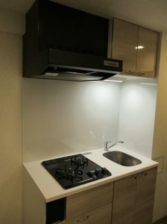 ルーブル川崎上平間弐番館