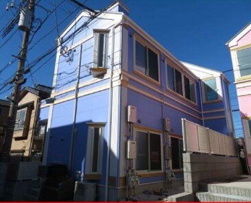 フェリスプロテア